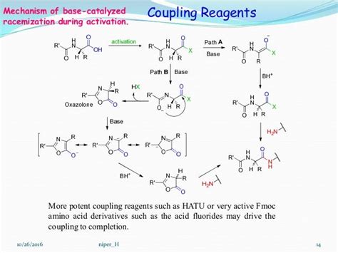 Solid Phase Peptide Synthesis Mechanism