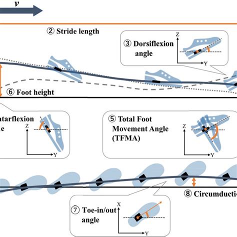 Illustration Of The Definition Of Eight Gait Parameters Gait Speed Download Scientific