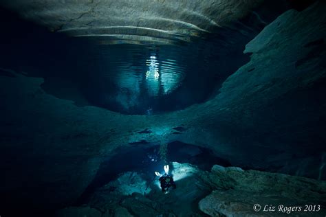 Triggerfish in Tank Cave – Liz Rogers Photography