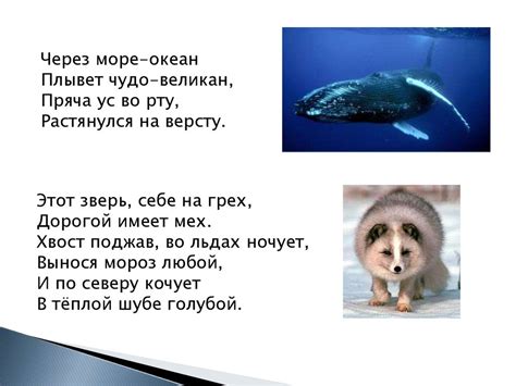 Животные Севера - online presentation