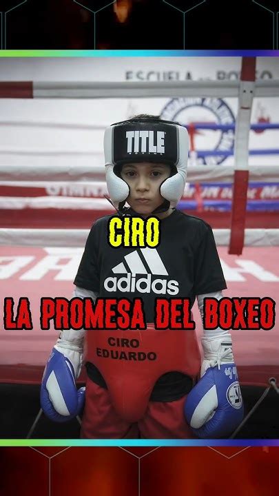 El Niño Prodigio Del Boxeo Ciro El Buho Box Boxeo Mma Ufc Short Lucha Argentina Short Youtube