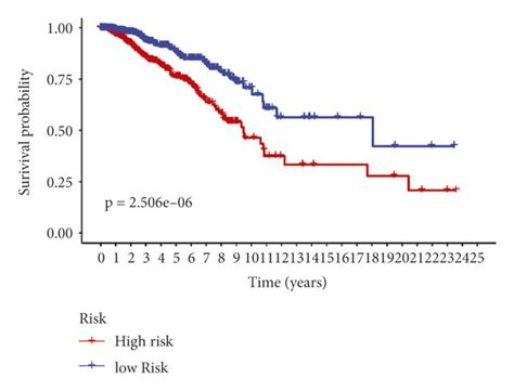 Risk Score Analysis Of The Prognostic Model In The Tcga Brca Cohort