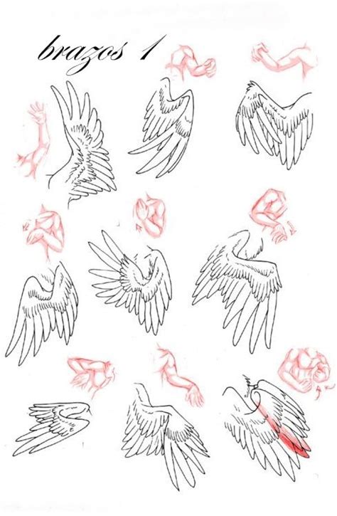 Wings Drawing Wings Art Drawing Base Figure Drawing Body Reference