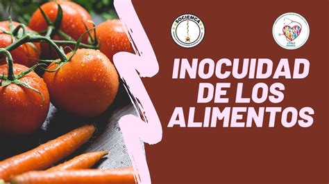 Inocuidad De Los Alimentos Youtube