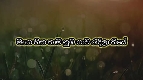 Ran Wan Mal රන් වන් මල් Centigradz Lyrics Song Youtube