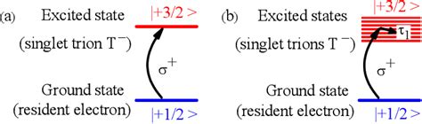 Figure 1 From Coherent Spin Dynamics Of Electrons And Holes In