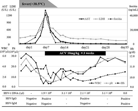 Figure 2 From Successful Treatment Of Herpes Simplex Virus HSV 1