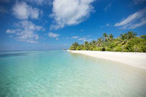 Lux South Ari Atoll The Maldives Experts For All Resort Hotels And