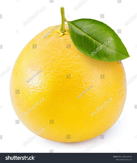 Fresh Yellow Pomelo Fruit Isolated On Stock Photo Shutterstock