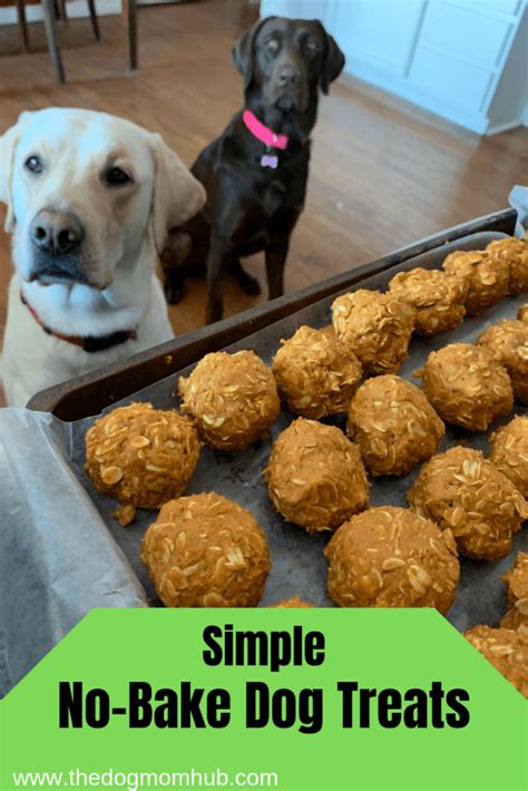 Easy No Bake Dog Treats The Dog Mom Hub No Bake Dog Treats Dog