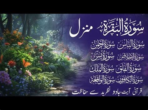 Live Surah Yasin Yaseen Rehman Mulk Quls Sharif Ayatul Kursi Surah