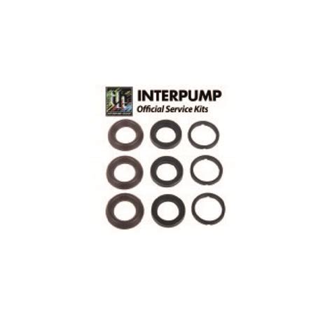 Interpump Servicerepair Kit 196 Benichem