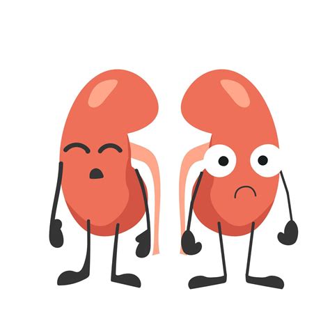 Human kidneys with eyes. Sad kidneys. Organ with emotions, cartoon