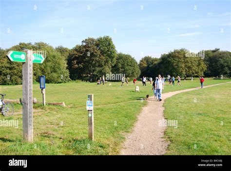 Wimbledon Common Wimbledon London Borough Of Merton Greater London