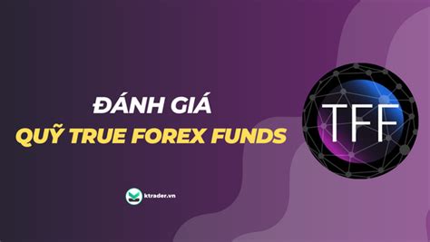 Quỹ TFF là gì Hướng Dẫn Đăng Ký Quỹ True Forex Funds 2023