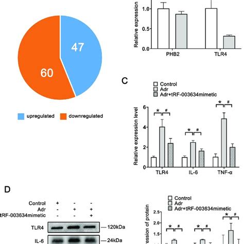 Tlr Is The Downstream Target Gene Regulated By Trf A Gene