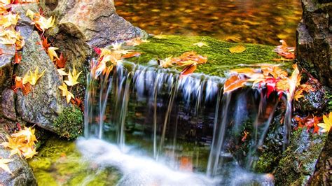 Fonds D écran Automne Nature Cours D Eau L Eau Les Feuilles 1920x1200 Hd Image