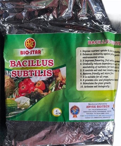 Powder Bacillus Subtilis 1 Kg At Rs 200 Kg In Chidambaram ID