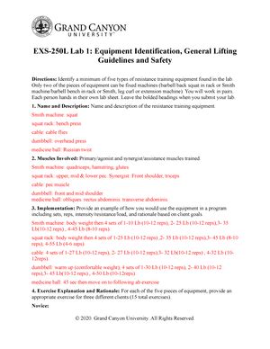 Lab Report Exs L Aerobic Testing Lab Report Be Sure That This