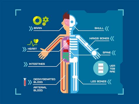 Physical Benefits Of Receiving Massage Therapy Northwest Academy Massage School