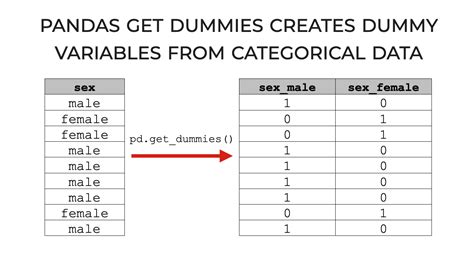 How To Create Dummy Variables In Python For Multiple Columns