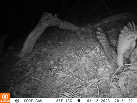 Wildlife Corridor Project - LandPaths