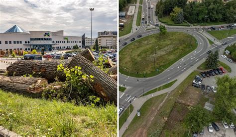 Wycinka Pod Przysz Lini Tramwajow W Krakowie Dziennik Polski