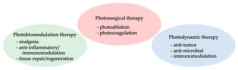 Antibiotics Free Full Text Application Of Different Wavelengths Of Led Lights In