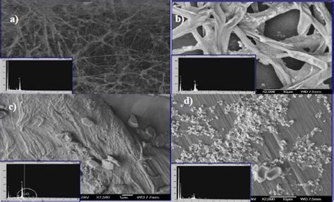 Biosorci N Y Tolerancia De Pb Cr Y Cd Por La Biomasa De Pleurotus