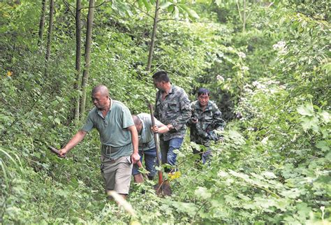 感天洞地：汛期气象预报员和地灾检测员是怎么干的？四川在线