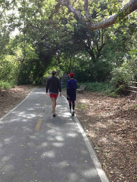 Bob Jones Trail Trail San Luis Obispo Beautiful Tree