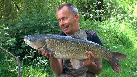 Big Pond Grass Carp Fishing Tv