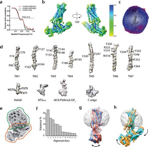 Cryo Em Map Resolution And Model Validation With Multi Body Analysis