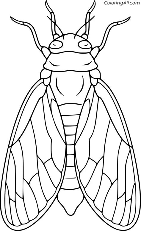 Cicada Live Cycle Coloring Pages Coloring Cool