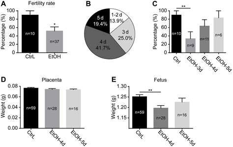 Insights Into The Adverse Effects Of Prepubertal Chronic Ethanol