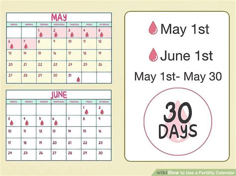 3 Ways To Use A Fertility Calendar Wikihow