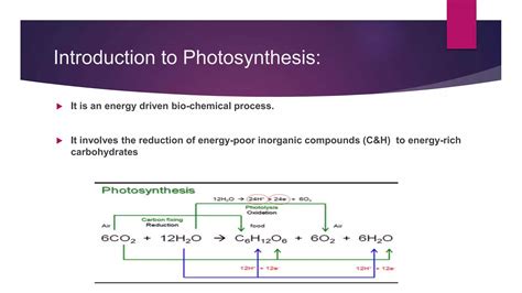 Antenna Complex Light Harvesting Complex Pptx