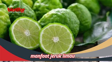 Manfaat Jeruk Limau Kaya Dengan Vitamin Dan Nutrisi