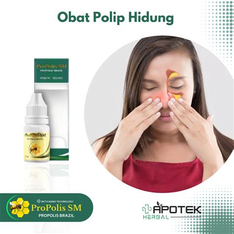 Jual Obat Polip Hidung Sinusitis Obat Benjolan Di Dalam Hidung Hidung