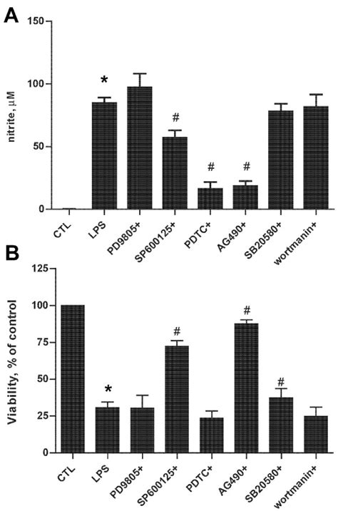 A Nf κb Jnk And Jak Stat Inhibition Prevent Lps Induced Inos In Bv2 Download Scientific