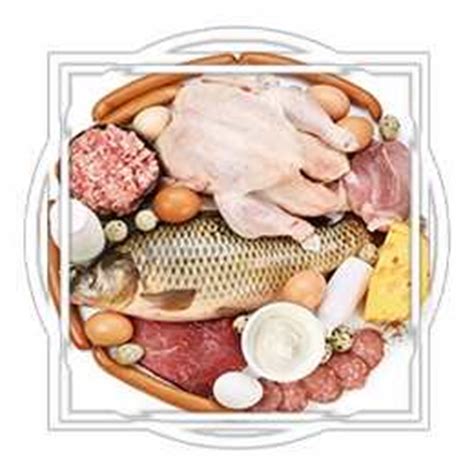 Продукты содержащие белок