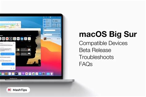 MacOS Big Sur Compatible Devices Public Beta Release And More MashTips