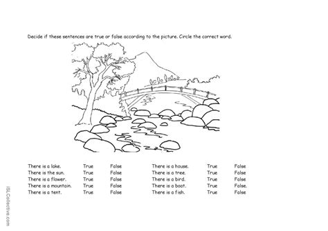 Outdoors There Is True Or False English Esl Worksheets Pdf Doc