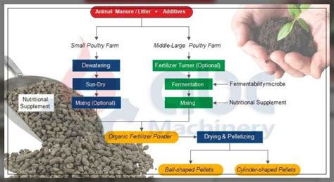 Chicken Manure: Application in Gardening - Al Ardh Alkhadra