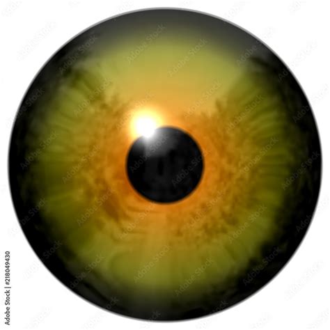 Eyeball texture with yellow color, black fringe and white background ...