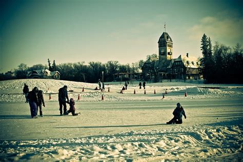 Assiniboine Park | The great outdoors, Dog sledding, Park