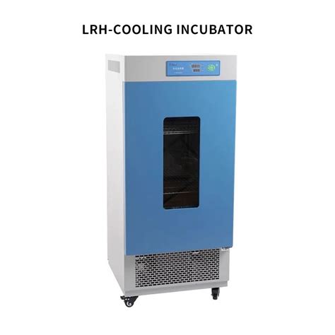 Constant Temp Laboratory Incubator For BOD Test Microbial Culture