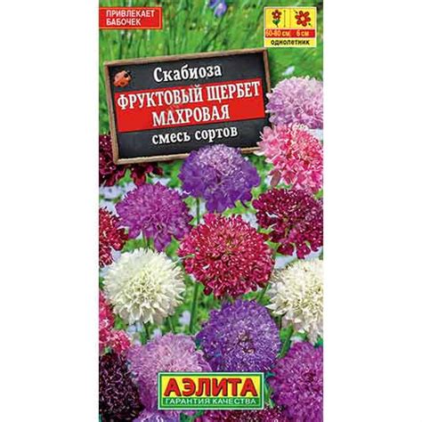 Скабиоза махровая Фруктовый щербет , смесь окрасок Аэлита (99148 ...