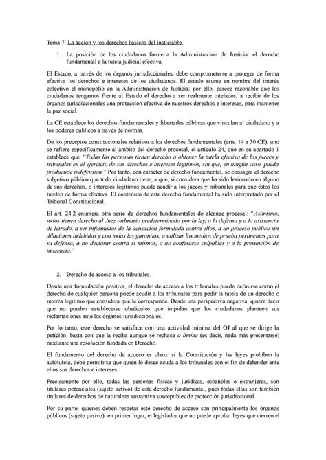 Tema La Acci N Y Los Derechos B Sicos De Los Justiciables Tema