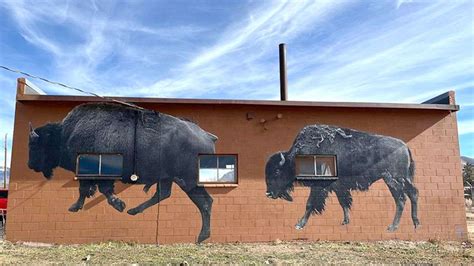 Bison Mural In Mancos Sparks Controversy The Durango Herald